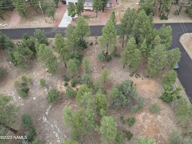 dji_fly_20230728_152540_430_169058315557
