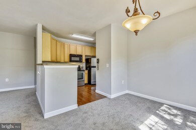 42421 Rockrose Square unit 203, Ashburn, VA 20148 - photo 5