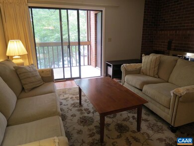 109 Turtle Creek Rd unit 8, Charlottesville, VA 22901 - photo 5