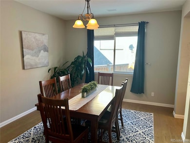 12084 S Great Plain Ct, Parker, CO 80134 - photo 4