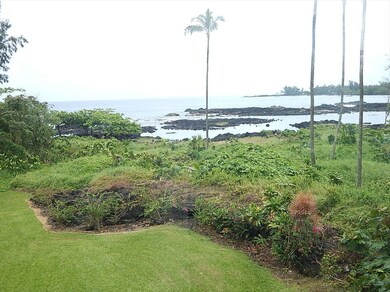 View from Lanai