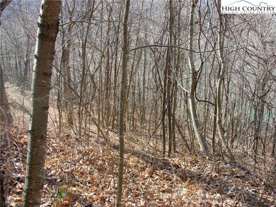 Gentle slope alows for selective tree cutting to o