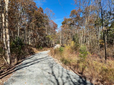 0 Tunnel Rd, Milford, PA 18337 - photo 3