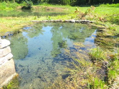 mammoth spring arkansas2