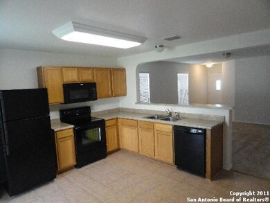 25226 Judson Bend, San Antonio, TX 78261 - photo 5