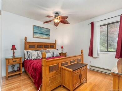 47 Tipperary Dr, Asheville, NC 28806 - photo 7