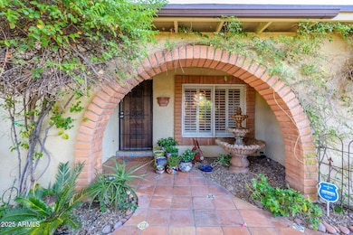 32-web-or-mls-Crocus-38
