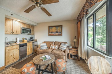 6 Emmons Rd unit 553, Crested Butte, CO 81225 - photo 6