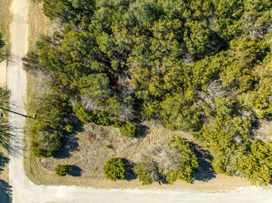 33040 Woodcrest & Stonedale Dr, Whitney, TX 76692 - photo 3