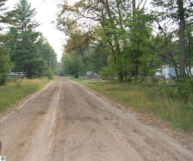 LOT 21-22 George St unit 21-22, Skidway Lake, MI 48756 - photo 5