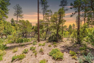 12-print-Forest-HD-12