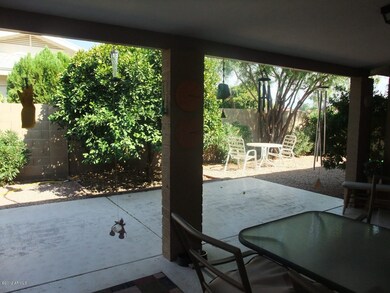 BACK YARD