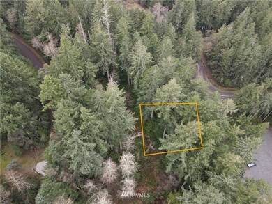 9203 Eckenstam Johnson Rd, Anderson Island, WA 98303 - photo 5