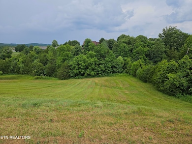 197 Captains Cove, Sharps Chapel, TN 37866 - photo 2