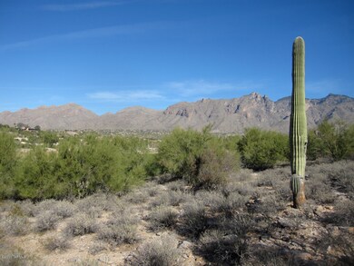 Life is Good in Tucson