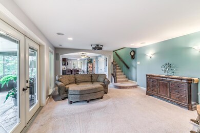 Finished walkout lower level