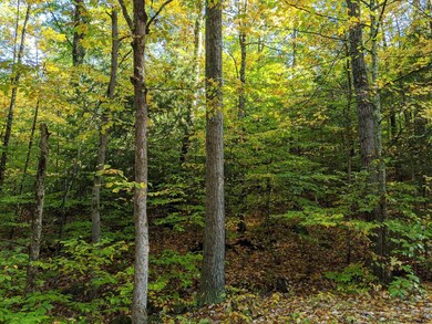 0 Dean Mountain Rd unit 202124233, Hadley, NY 12835 - photo 5