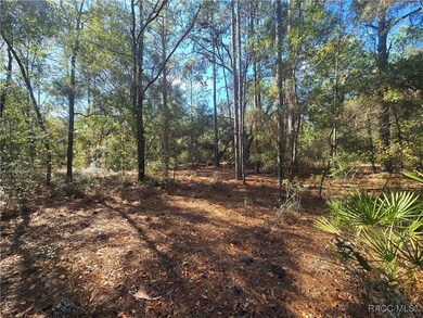 11370 N Ortega Point, Dunnellon, FL 34433 - photo 4