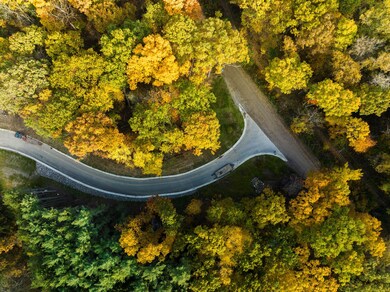 6822 Morrison Hills Ct, Dexter, MI 48130 - photo 3