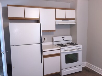 172 N Elm Ave unit FLR-1, Elmhurst, IL 60126 - photo 6