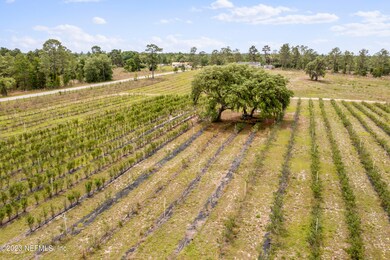 DJI_0479