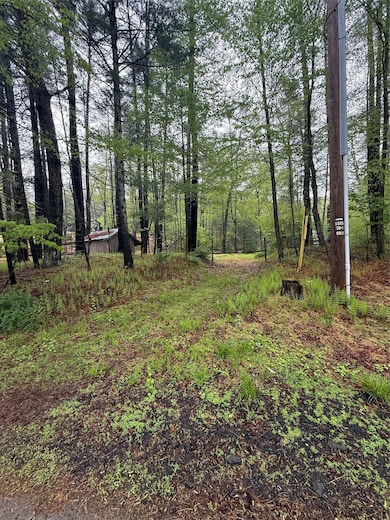 0 Hankins Rd, Tusten, NY 12764 - photo 2