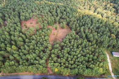 8.9 Acres Davis Gap Rd, Vinemont, AL 35179 - photo 6