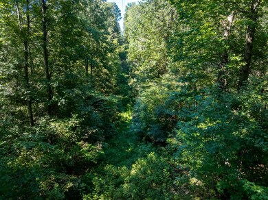 0 Mann Rd, Flintville, TN 37335 - photo 4