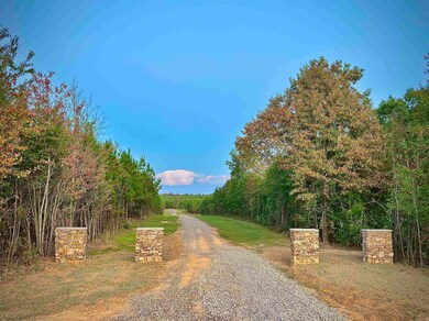 Tract 2C Avalon Lake Ln, Mena, AR 71953 - photo 5