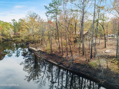 mls-DJI_0798