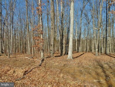 LOT 39 Comforter Ln, North River, VA 22645 - photo 5