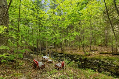 621 N Groton Rd, Hebron, NH 03241 - photo 4