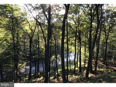 7055 Stump Rd unit 3, Pipersville, PA 18947 - photo 6