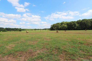 278-H U S Highway 64, Conway, AR 72032 - photo 7