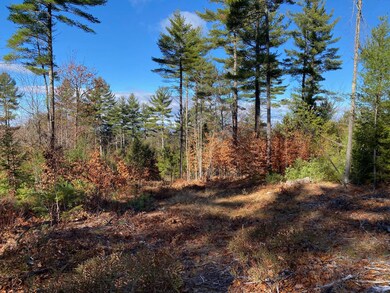 599 Pequawket Trail, Steep Falls, ME 04085 - photo 5