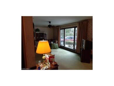 Replacement Windows