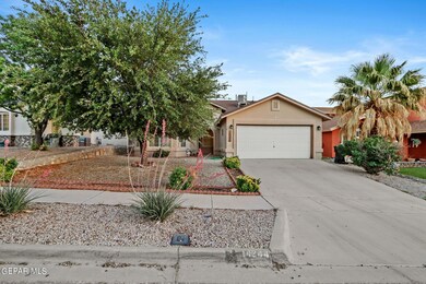 14244 Desert Ash Dr, Horizon City, TX 79928 - photo 4