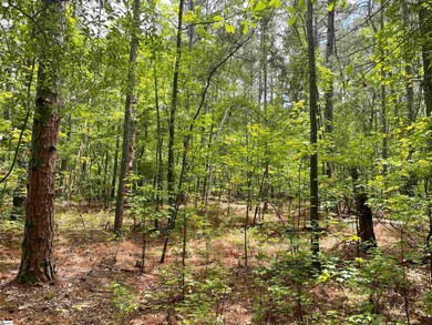 00 Clatworthy Rd, Honea Path, SC 29654 - photo 5