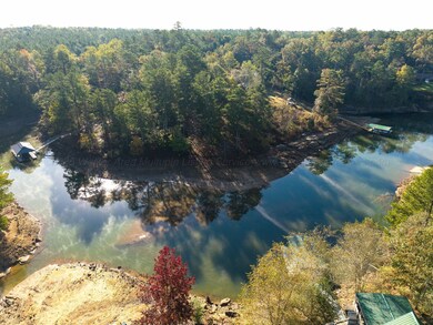 0 Lot 23 Bear Branch Cove, Arley, AL 35541 - photo 7