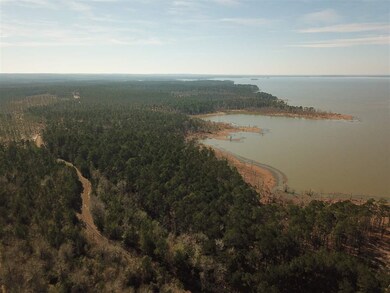 021 Private Road 6028 unit Tract 1-21, Brookeland, TX 75931 - photo 3