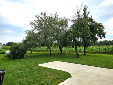 apple trees 2
