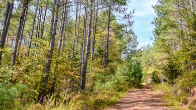 Rocky Branch Land for Sale in South Caro