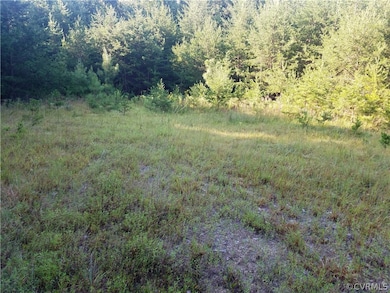 1600 Chopping Rd, Mineral, VA 23117 - photo 5