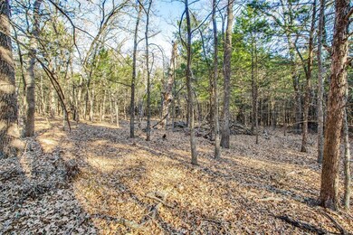 TBD9137 County Road 113, Whitesboro, TX 76273 - photo 3