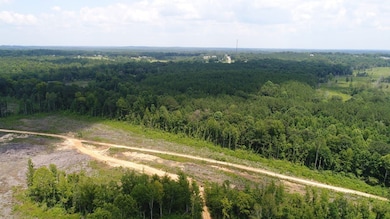 Old Meriwether Trail, Highland Home, AL 36041 - photo 5