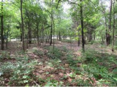 309 Bower Rd, Eufaula, OK 74432 - photo 3