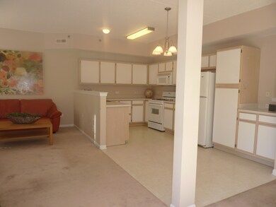 3100 Town Square Dr unit 105, Rolling Meadows, IL 60008 - photo 7
