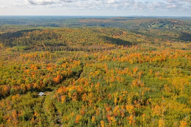 TBD Hwy 135, Biwabik, MN 55708 - photo 2