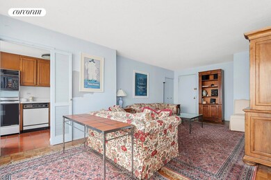 The Carlton Park Cooperative unit 22D, New York, NY 10128 - photo 4