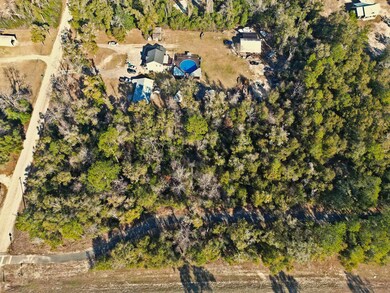 xx Lonesome Rd, Crawfordville, FL 32327 - photo 6